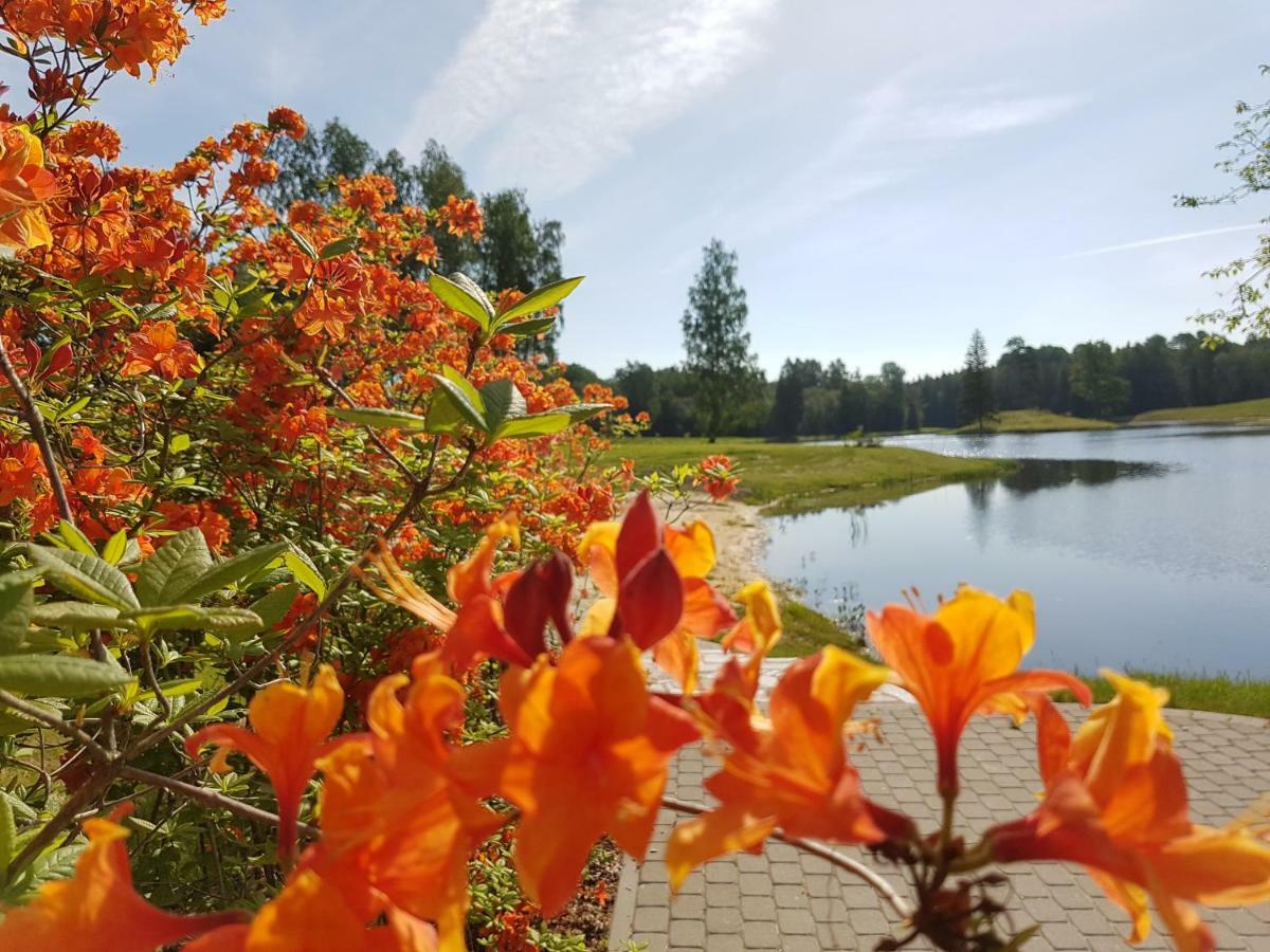 Mezdzirnas Country House & Spa Kabile Dış mekan fotoğraf